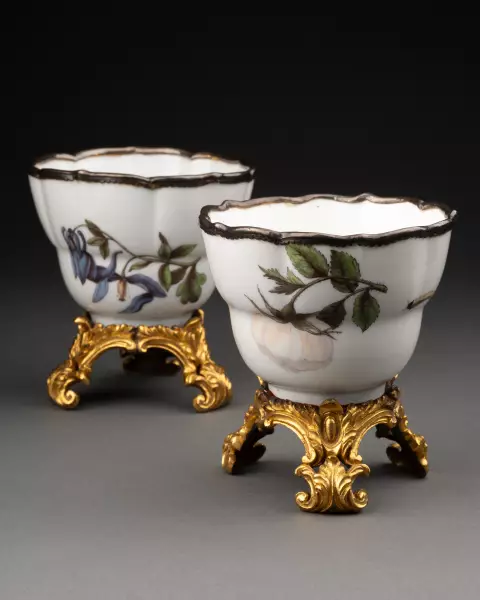 Paire de tasses à décor botanique, Meissen vers 1740