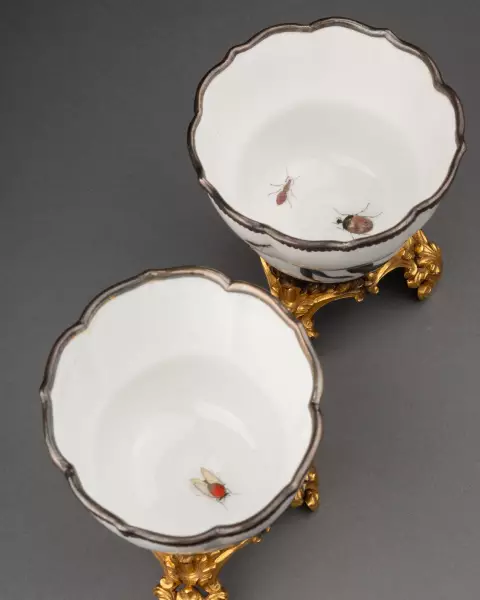 Paire de tasses à décor botanique, Meissen vers 1740
