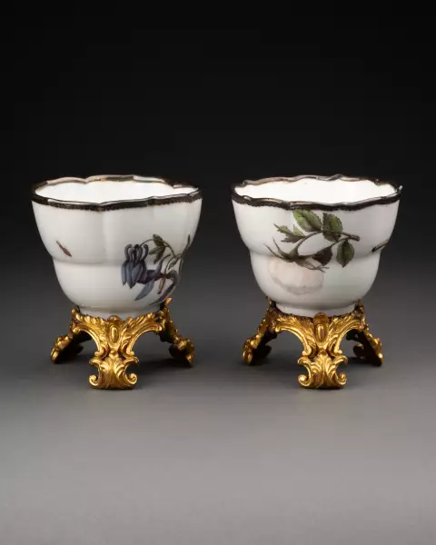 Paire de tasses à décor botanique, Meissen vers 1740