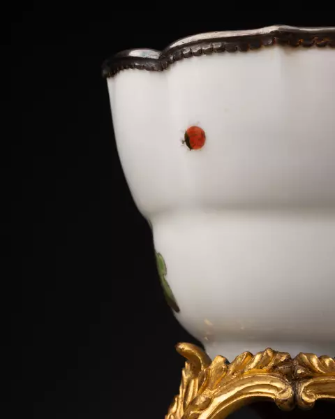 Paire de tasses à décor botanique, Meissen vers 1740