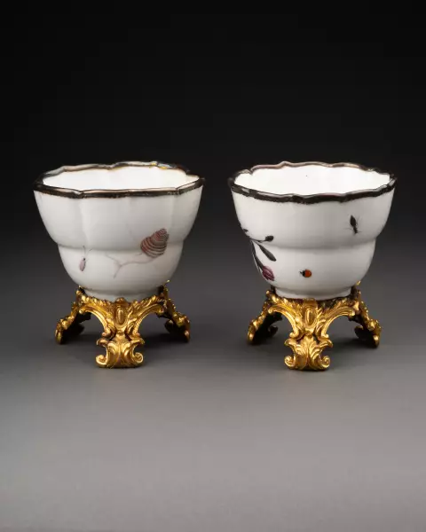 Paire de tasses à décor botanique, Meissen vers 1740