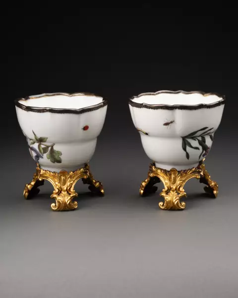 Paire de tasses à décor botanique, Meissen vers 1740