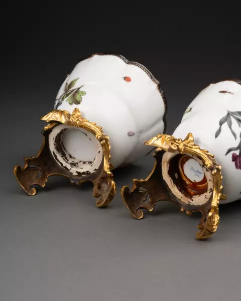 Paire de tasses à décor botanique, Meissen vers 1740