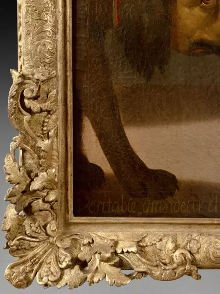 Portrait du nain Nicolas Ferry, dit bébé, attribuable à Jean Girardet