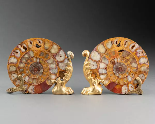 Paire d’ammonites fossiles montées bronze vers 1820-1840