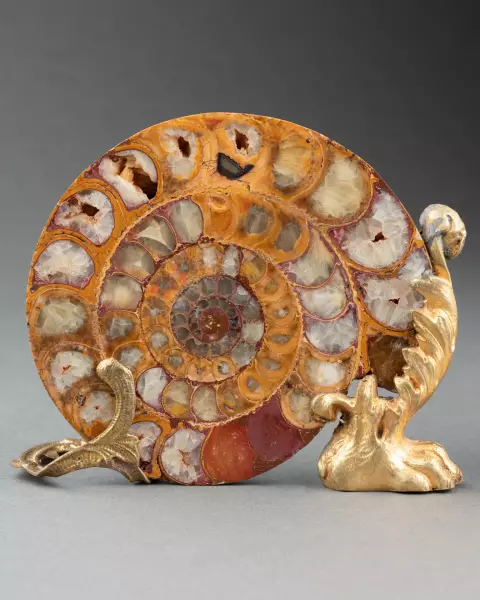 Paire d’ammonites fossiles montées bronze vers 1820-1840